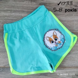 Шорты для девочек 4 шт коттон (5-8 лет) MiLi_1733-5