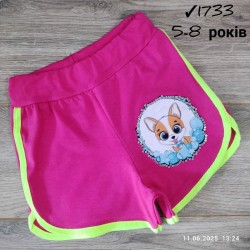 Шорты для девочек 4 шт коттон (5-8 лет) MiLi_1733-6