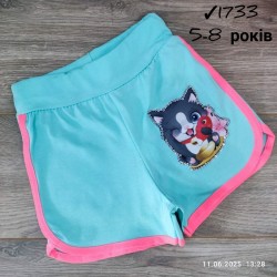 Шорты для девочек 4 шт коттон (5-8 лет) MiLi_1733-12