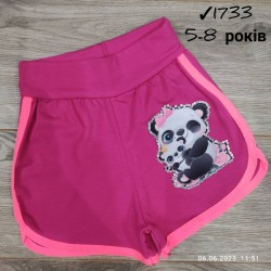 Шорты для девочек 4 шт коттон (5-8 лет) MiLi_1733-15