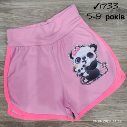 Шорты для девочек 4 шт коттон (5-8 лет) MiLi_1733-18