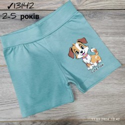 Шорты для девочек 4 шт коттон (2-5 лет) MiLi_13142-5
