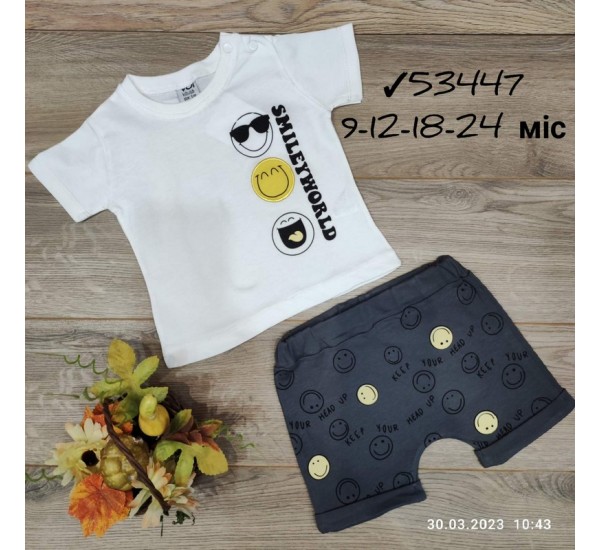 Костюм для младенцев 4 шт коттон (9-24 мес) MiLi_53447-1