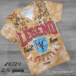 Футболка для мальчиков 4 шт коттон (2-5 лет) MiLi_1024-1