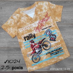 Футболка для мальчиков 4 шт коттон (2-5 лет) MiLi_1024-2