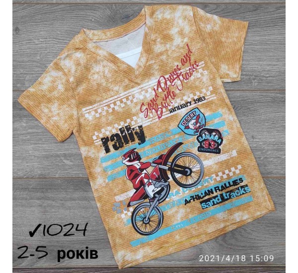 Футболка для мальчиков 4 шт коттон (2-5 лет) MiLi_1024-2