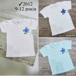 Футболка для девочек 4 шт коттон (9-12 лет) MiLi_2612