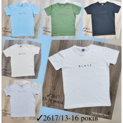 Футболка для мальчиков 4 шт коттон (13-16 лет) MiLi_2617