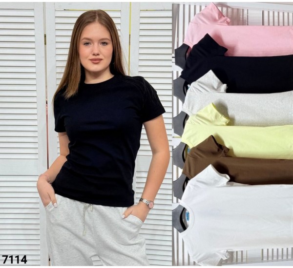 Футболка женская 2 шт (S-XL) стрейч MMC_7114