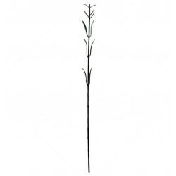 Нога гвоздики искусственная, 100 штук RuS_F24_Z-09