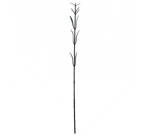 Нога гвоздики искусственная, 100 штук RuS_F24_Z-09