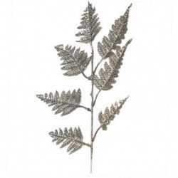 Лист золотой искусственный, 50 штук RuS_G20_21-2