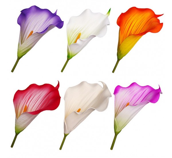 Голова калы фоамиран искусственная, 36 штук RuS_D13_T-231