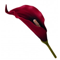 Голова калы латекс искусственная, 192 штук RuS_D16_T-230