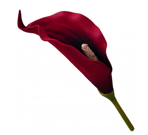 Голова калы латекс искусственная, 192 штук RuS_D16_T-230