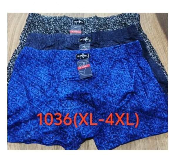 Труси чоловічі VASALL 12 шт (1-4XL) бамбук RZ6000_1036