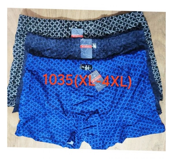Труси чоловічі VASALL 12 шт (1-4XL) бамбук RZ6000_1035
