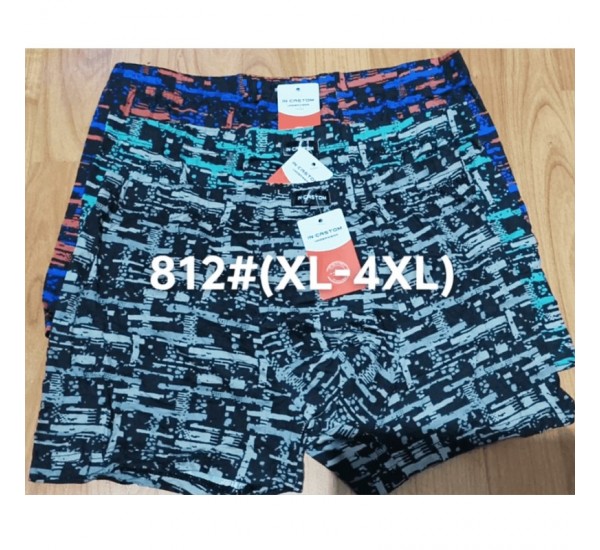 Труси чоловічі CASTOM 12 шт (1-4XL) бамбук RZ6000_812