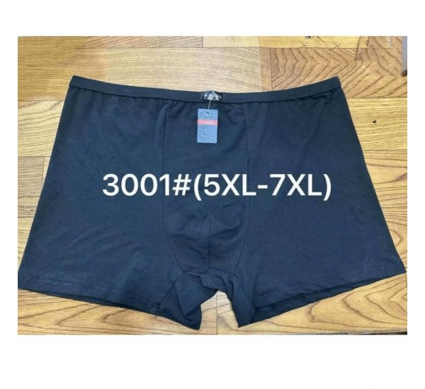 Труси чоловічі VASALL 12 шт (5-7XL) бамбук RZ6000_3001