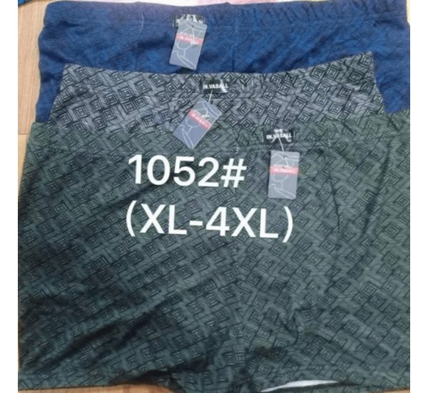 Труси чоловічі VASALL 12 шт (1-4XL) бамбук RZ6000_1052