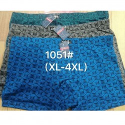 Труси чоловічі VASALL 12 шт (1-4XL) бамбук RZ6000_1051