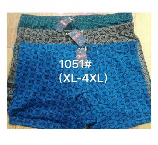 Труси чоловічі VASALL 12 шт (1-4XL) бамбук RZ6000_1051