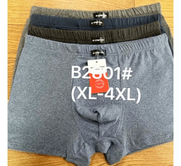 Труси чоловічі CASTOM 12 шт (1-4XL) бамбук RZ6000_2801
