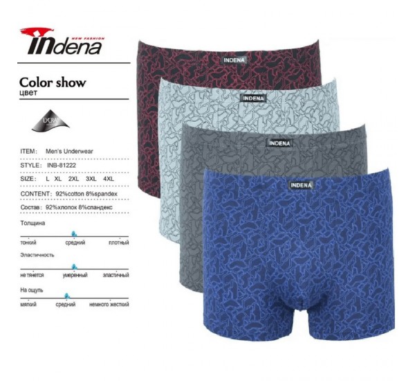 Труси чоловічі INDENA 12 шт (L-4XL) коттон RZ6000_81222