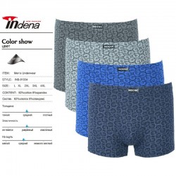 Труси чоловічі INDENA 12 шт (L-4XL) коттон RZ6000_81334