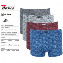 Труси чоловічі INDENA 12 шт (L-4XL) коттон RZ6000_81341