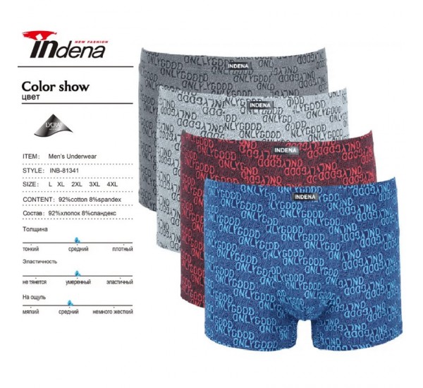 Труси чоловічі INDENA 12 шт (L-4XL) коттон RZ6000_81341