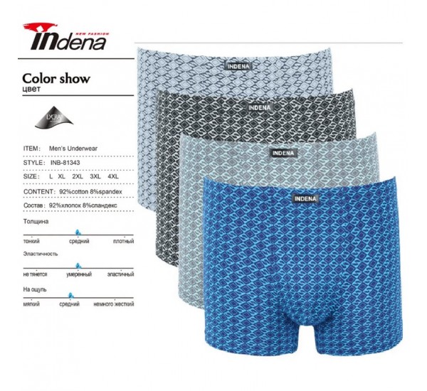 Труси чоловічі INDENA 12 шт (L-4XL) коттон RZ6000_81343