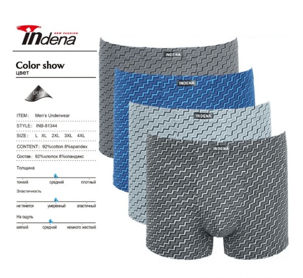 Труси чоловічі INDENA 12 шт (L-4XL) коттон RZ6000_81344