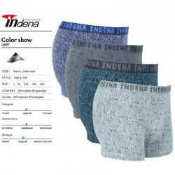 Труси чоловічі INDENA 12 шт (L-4XL) коттон RZ6000_81162