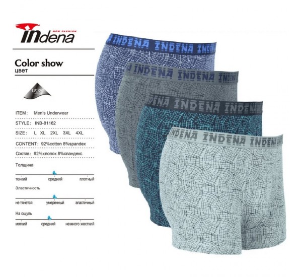 Труси чоловічі INDENA 12 шт (L-4XL) коттон RZ6000_81162