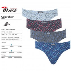 Труси чоловічі INDENA 18 шт (1-4XL) коттон RZ6000_39639