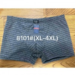 Труси чоловічі термо VASALL 12 шт (1-4XL) бамбук RZ6000_8101