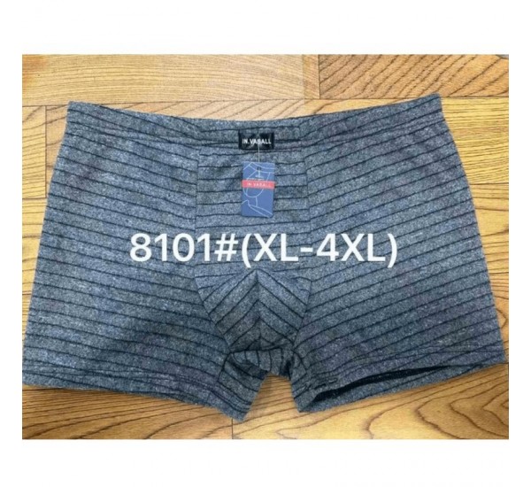 Труси чоловічі термо VASALL 12 шт (1-4XL) бамбук RZ6000_8101