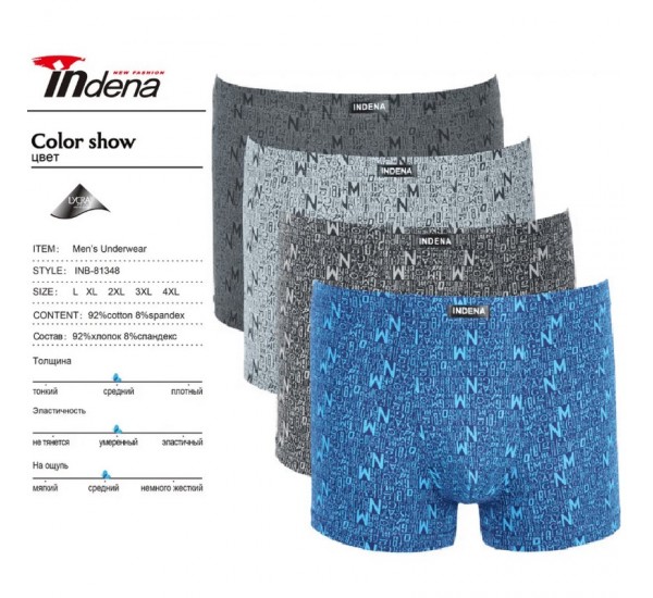 Труси чоловічі INDENA 12 шт (L-4XL) коттон RZ6000_81348