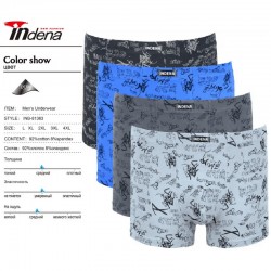 Труси чоловічі INDENA 12 шт (L-4XL) коттон RZ6000_81363