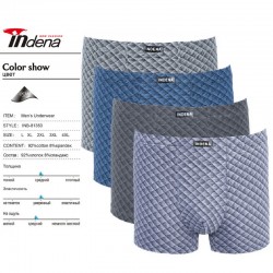 Труси чоловічі INDENA 12 шт (L-4XL) коттон RZ6000_81353