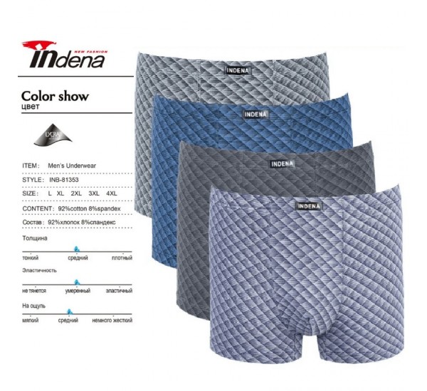 Труси чоловічі INDENA 12 шт (L-4XL) коттон RZ6000_81353