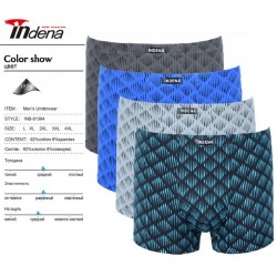 Труси чоловічі INDENA 12 шт (L-4XL) коттон RZ6000_81364