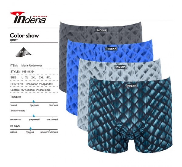 Труси чоловічі INDENA 12 шт (L-4XL) коттон RZ6000_81364