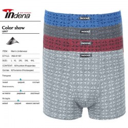 Труси чоловічі INDENA 12 шт (L-4XL) коттон RZ6000_81187