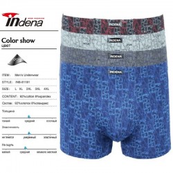 Труси чоловічі INDENA 12 шт (L-4XL) коттон RZ6000_81181