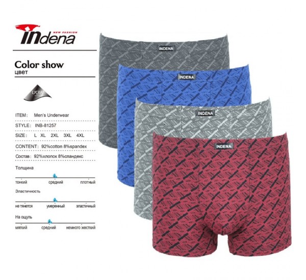 Труси чоловічі INDENA 12 шт (L-4XL) коттон RZ6000_81257