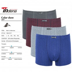 Труси чоловічі INDENA 12 шт (L-4XL) коттон RZ6000_81371