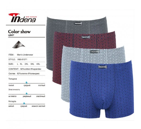 Труси чоловічі INDENA 12 шт (L-4XL) коттон RZ6000_81371