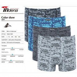 Труси чоловічі INDENA 12 шт (L-4XL) коттон RZ6000_81390
